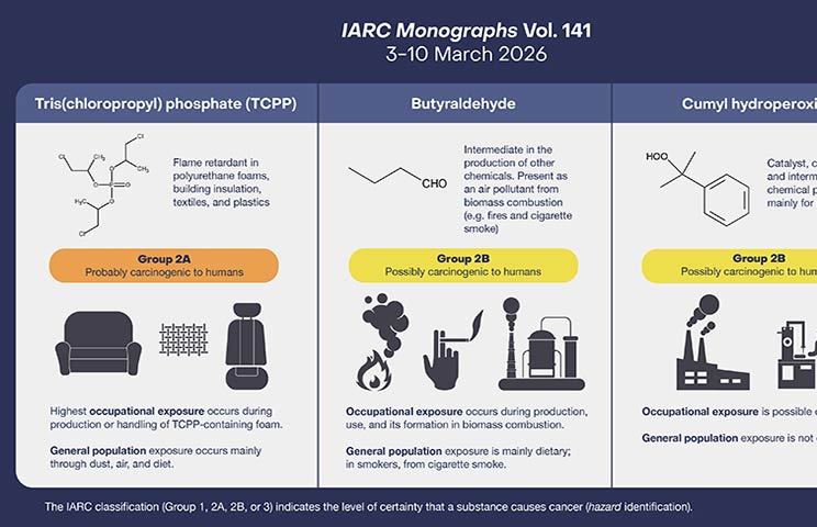 Monographs Meeting 141 Infographic